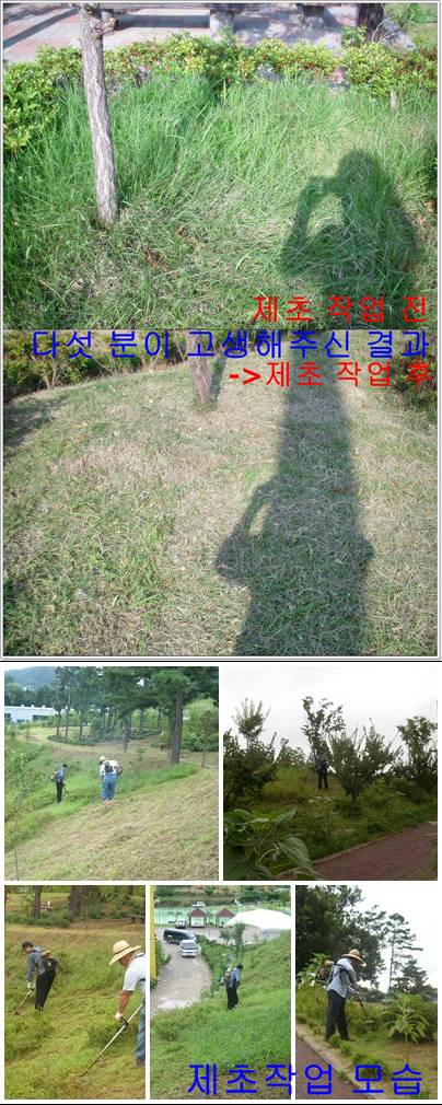 홈세이지 게시.jpg