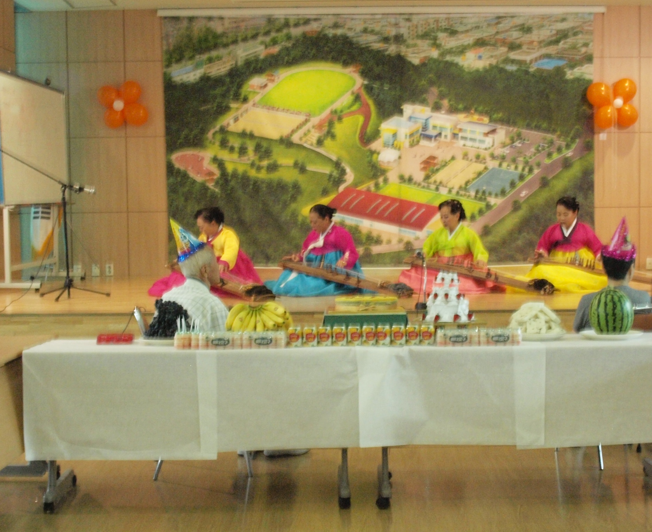 가야금 연주.jpg